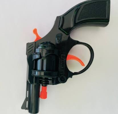 Gun